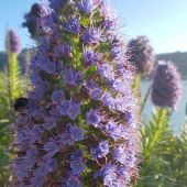 Sumner's winter colours around Sumner Sumner's winter colours around Sumner
